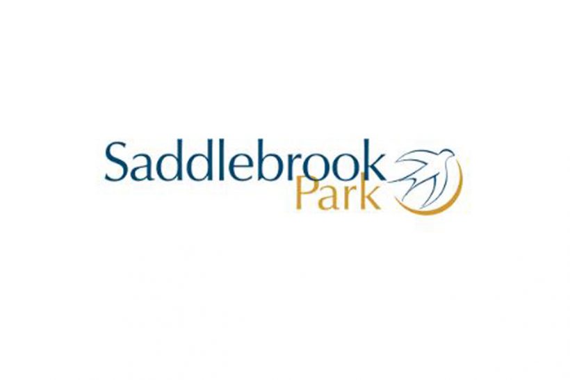 saddlebrook