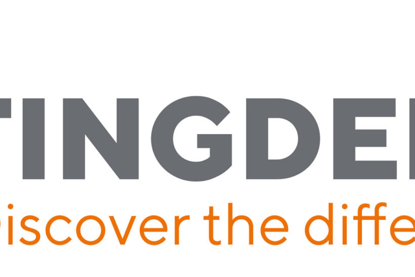 Tingdene-Logo-CP-(High-Res)