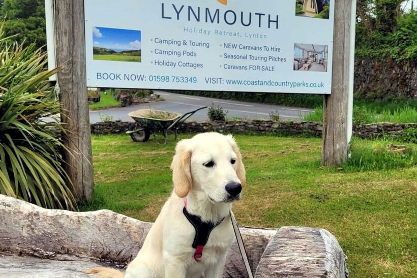 Devon holiday park romps to victory  in national dog friendly awards